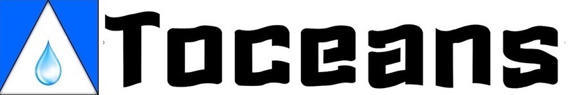 TOCEONS LOGO